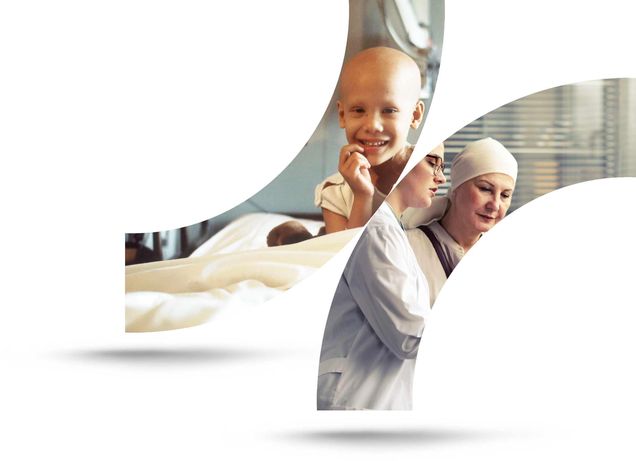 OPALE, the Organization <br>for Partnerships in Leukemia