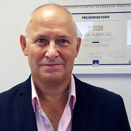 Patrick Auberger